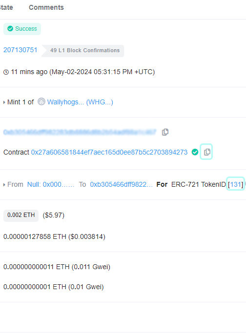 Transaction Details of NFT